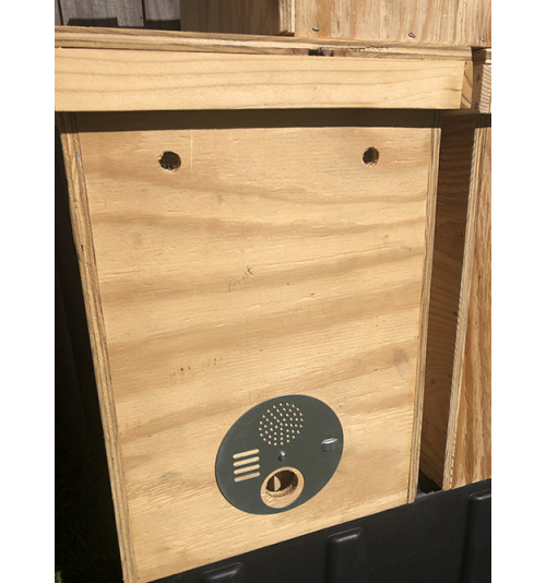 Layens Swarm Trap / Nuc